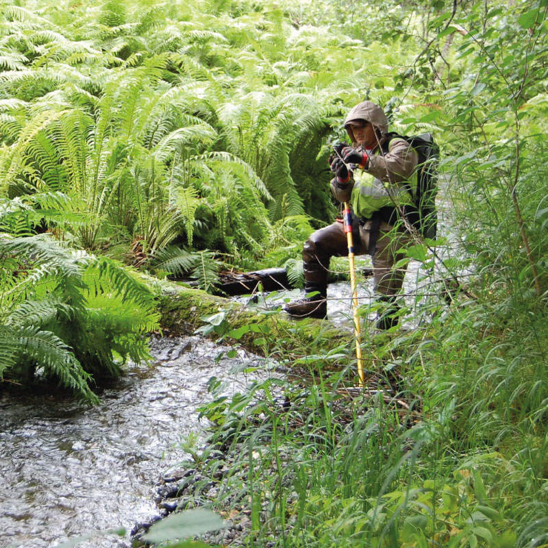Environmental-Services